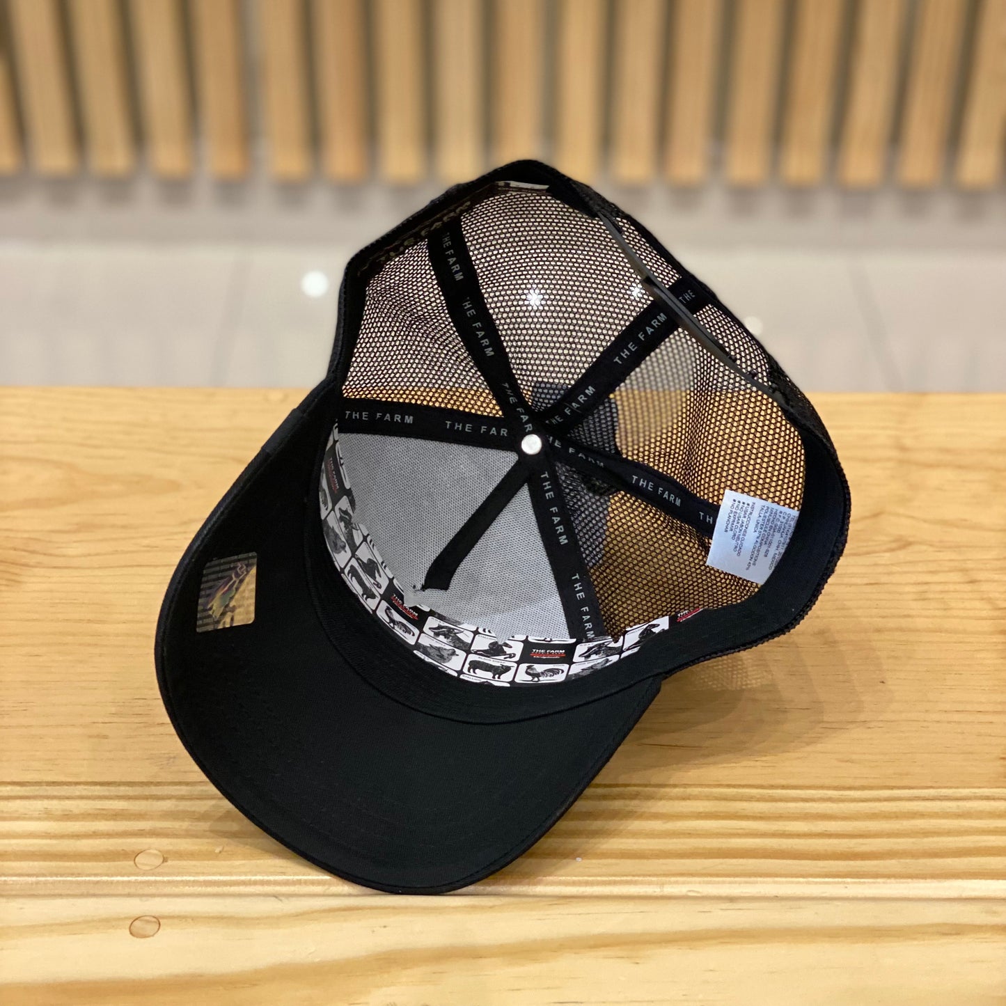 Gorra Goorin Bros Gut Negro Unitalla