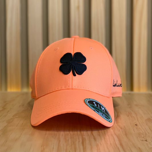 Gorra Black Clover Bc Spring Luck Mango Negro