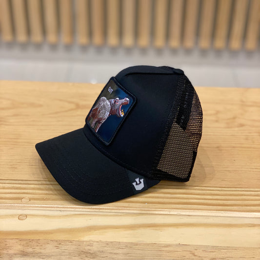 Gorra Goorin Bros Gut Negro Unitalla