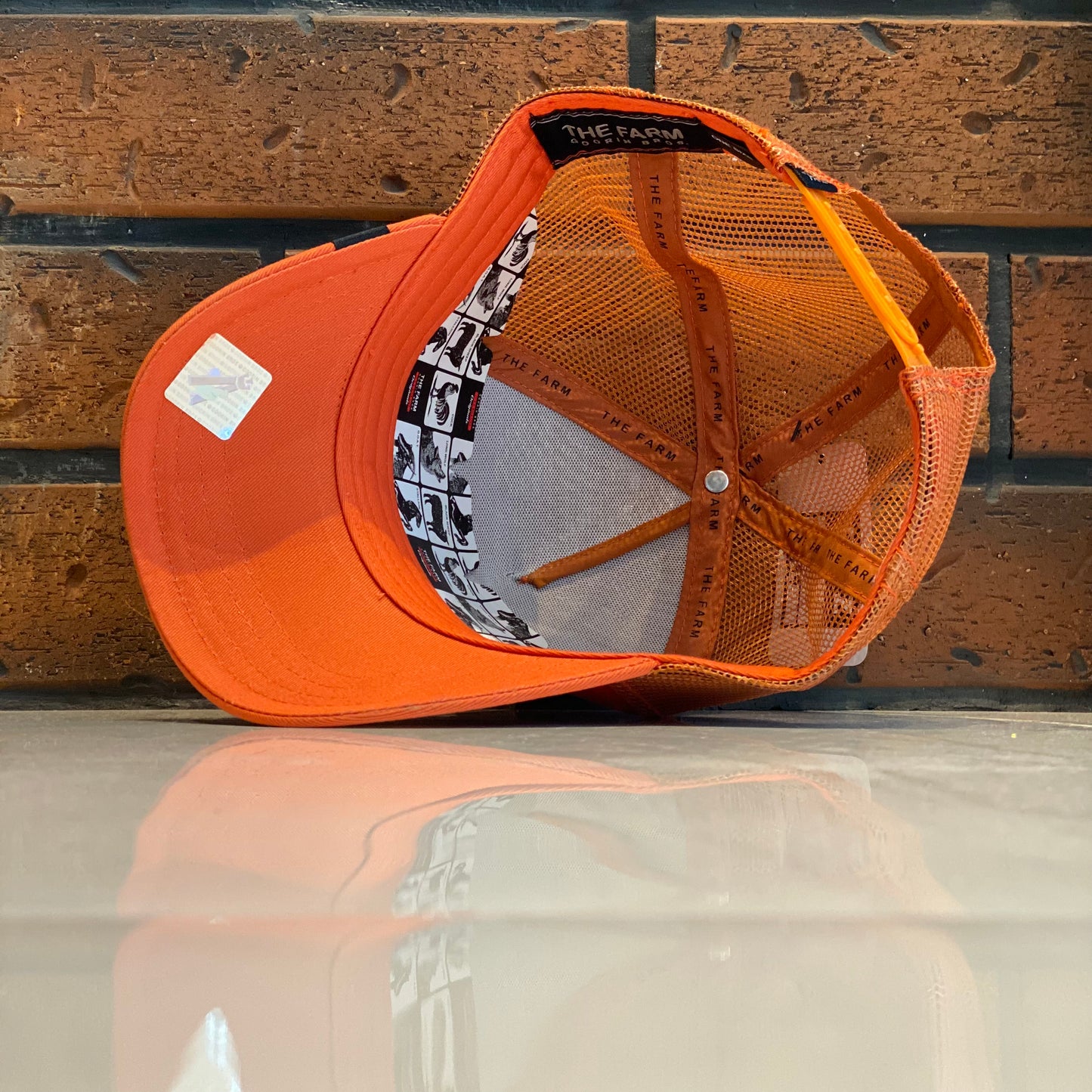 Gorra Goorin Bros Lone Wolf Naranja