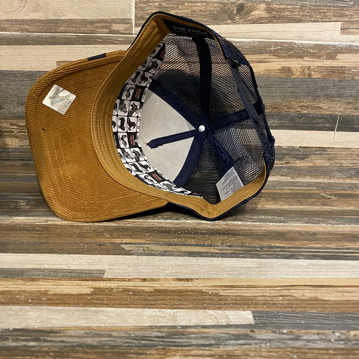 Gorra Goorin Bros Panther 	Café azul