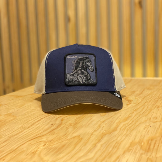 Gorra Goorin Bros Stallion Azul Cafe Beige