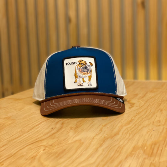 Gorra Goorin Bros Tough Azul Beige cafe