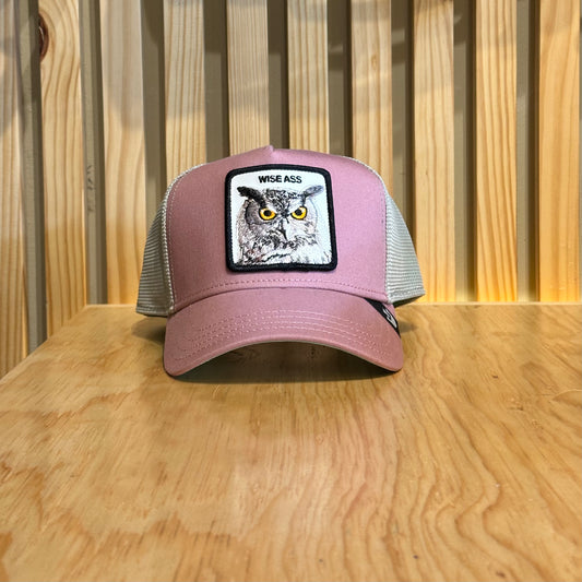 Gorra Goorin Wise Ass Rosa Gris Ajustable