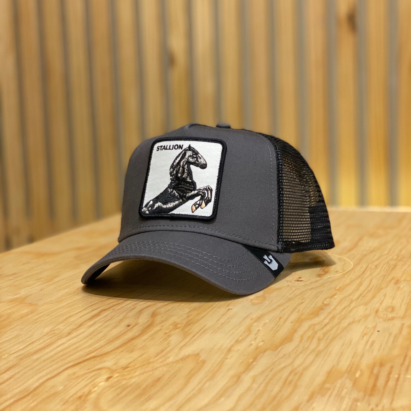 Gorra Goorin bros Stallion Gris