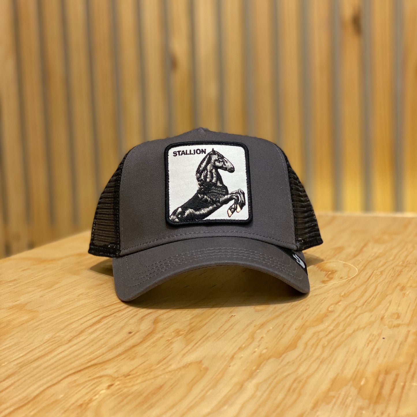 Gorra Goorin bros Stallion Gris